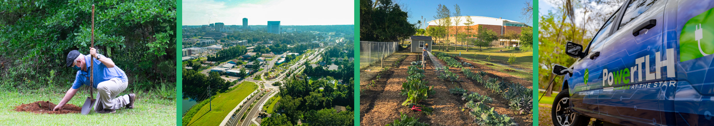 Image From Tallahassee