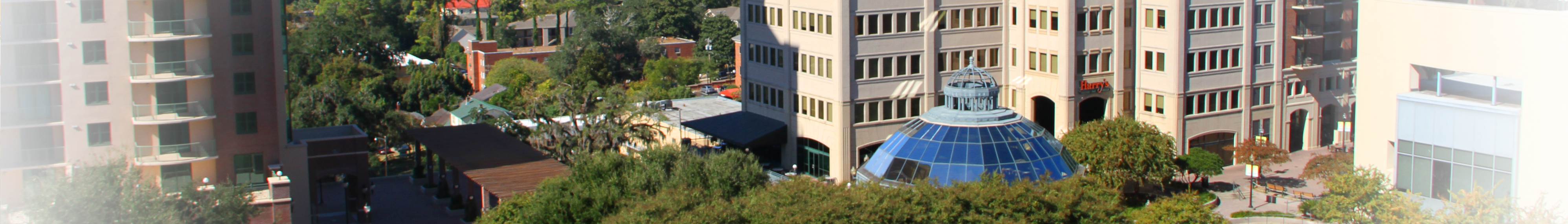 Image From Tallahassee