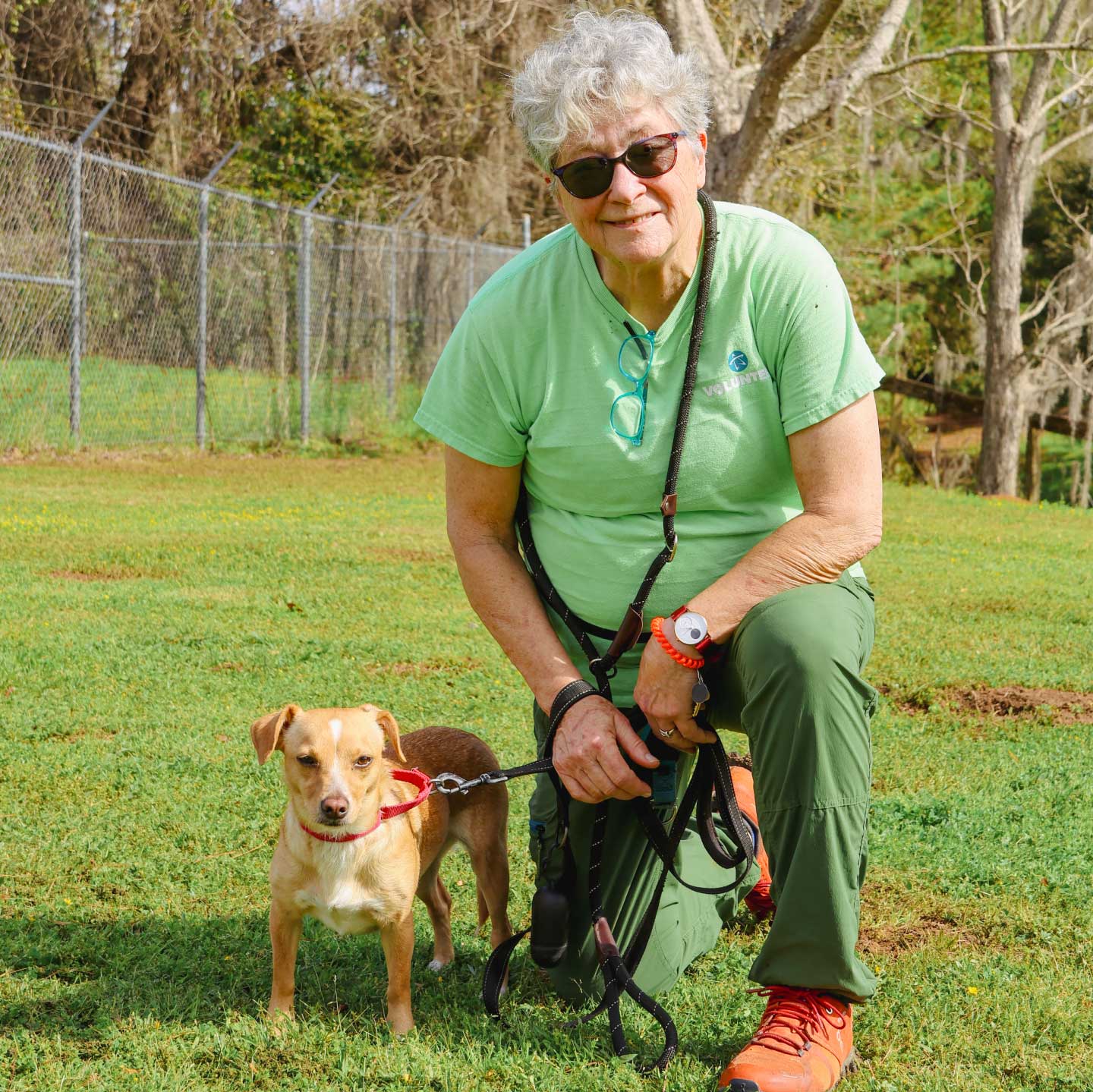 Volunteers love our animals