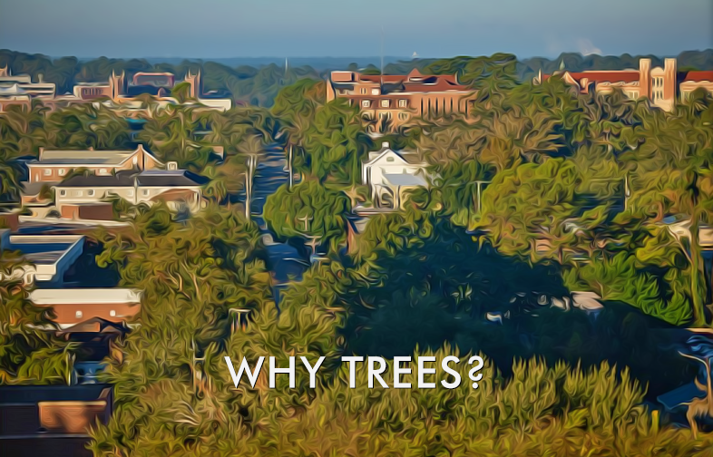 painterly image of trees